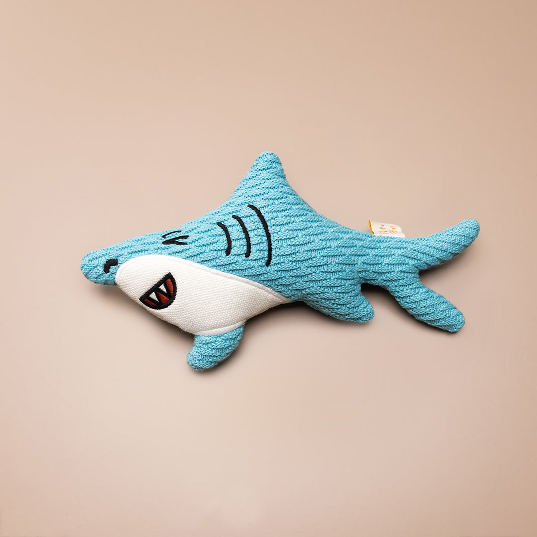 Spike the Shark