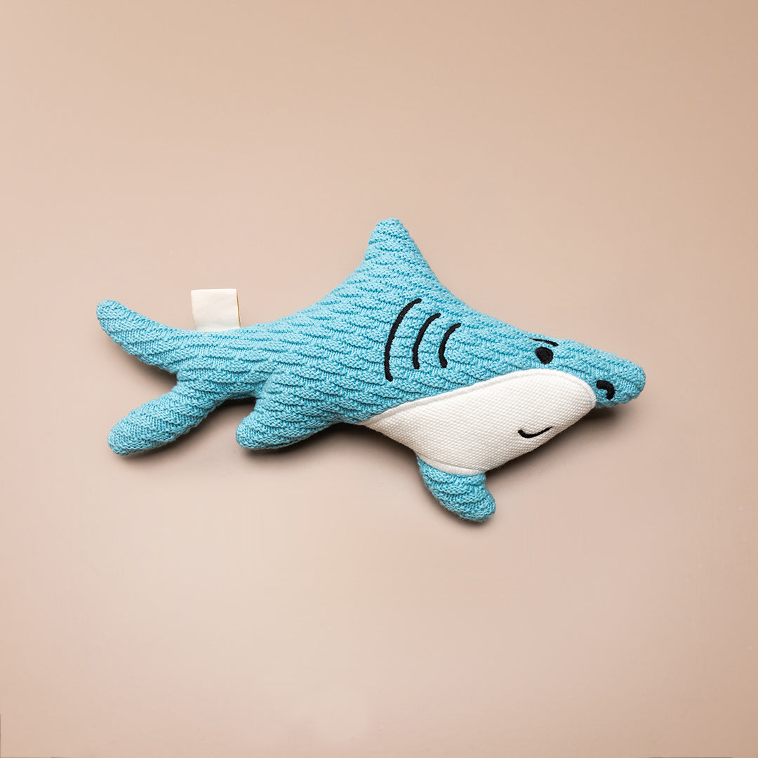 Spike the Shark
