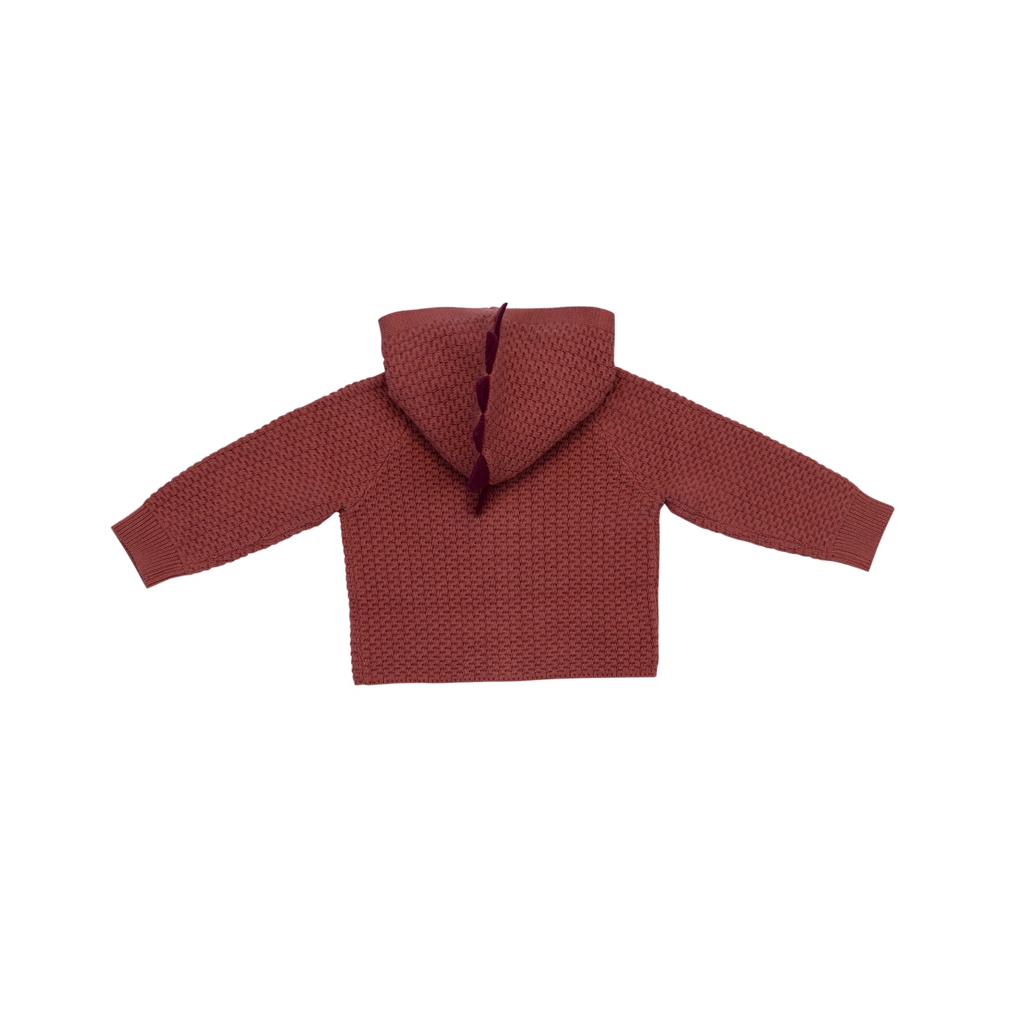 Hooded Cardigan | Dinosaur (6-12M)