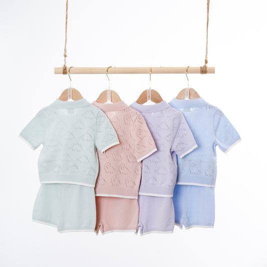 Long neck Dinosaur / Stegosaurus Polo Sets (18-24M / 2-3Y)