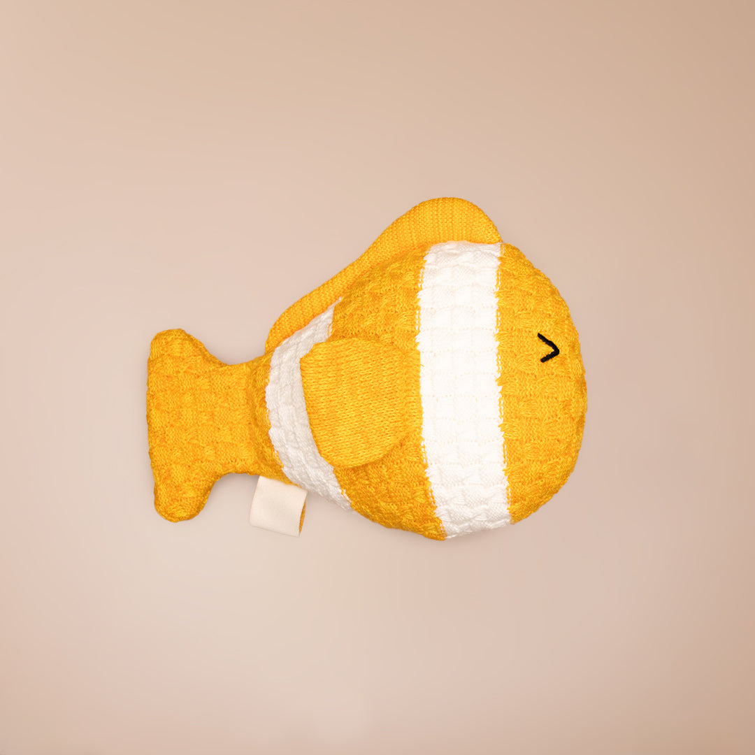 Charlie the Clown Fish
