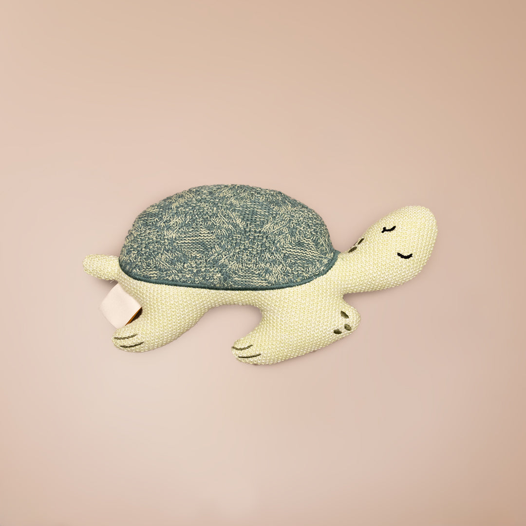 Toby the Sea Turtle