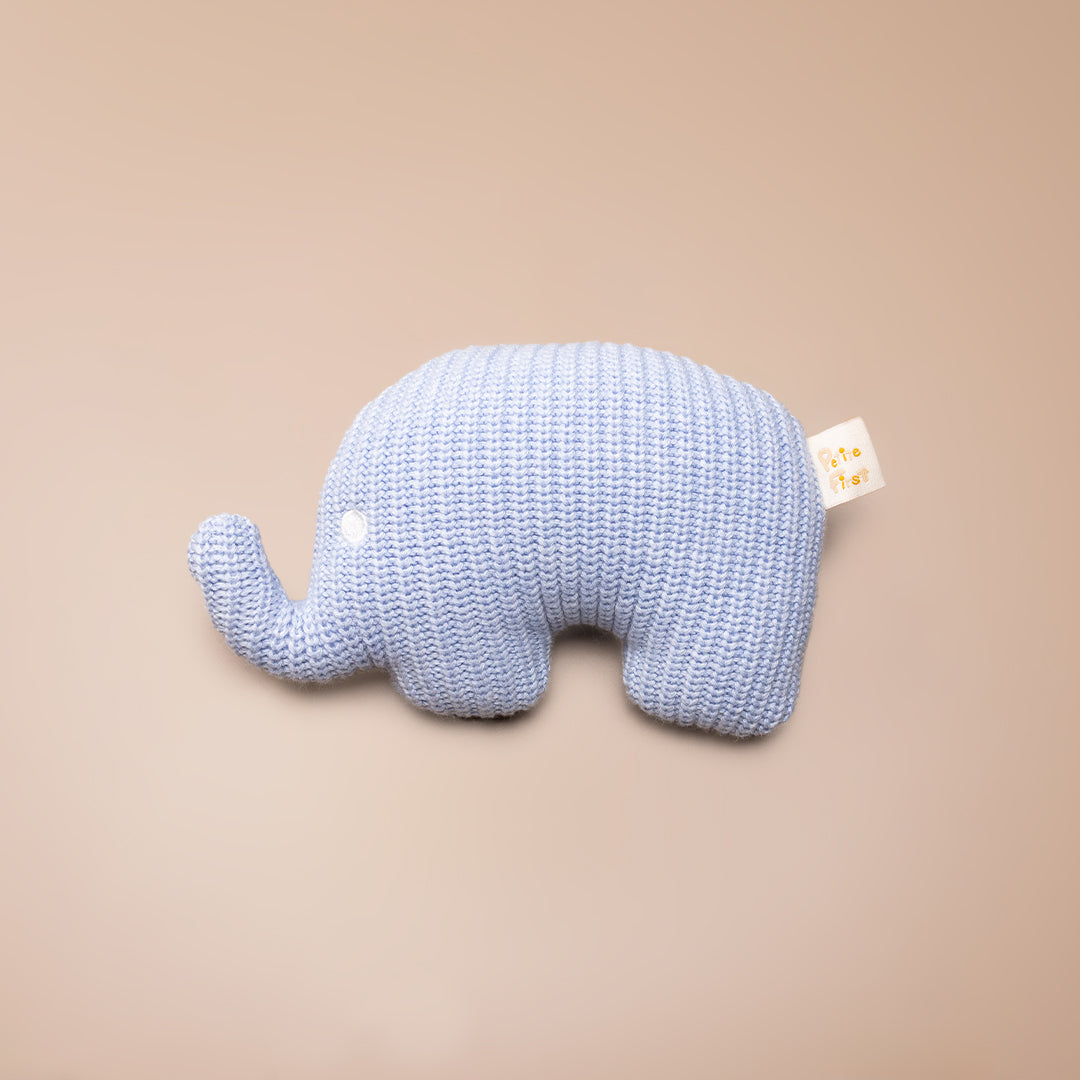 Ethan the Elephant
