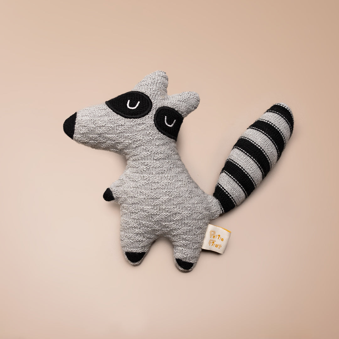 Roger the Raccoon