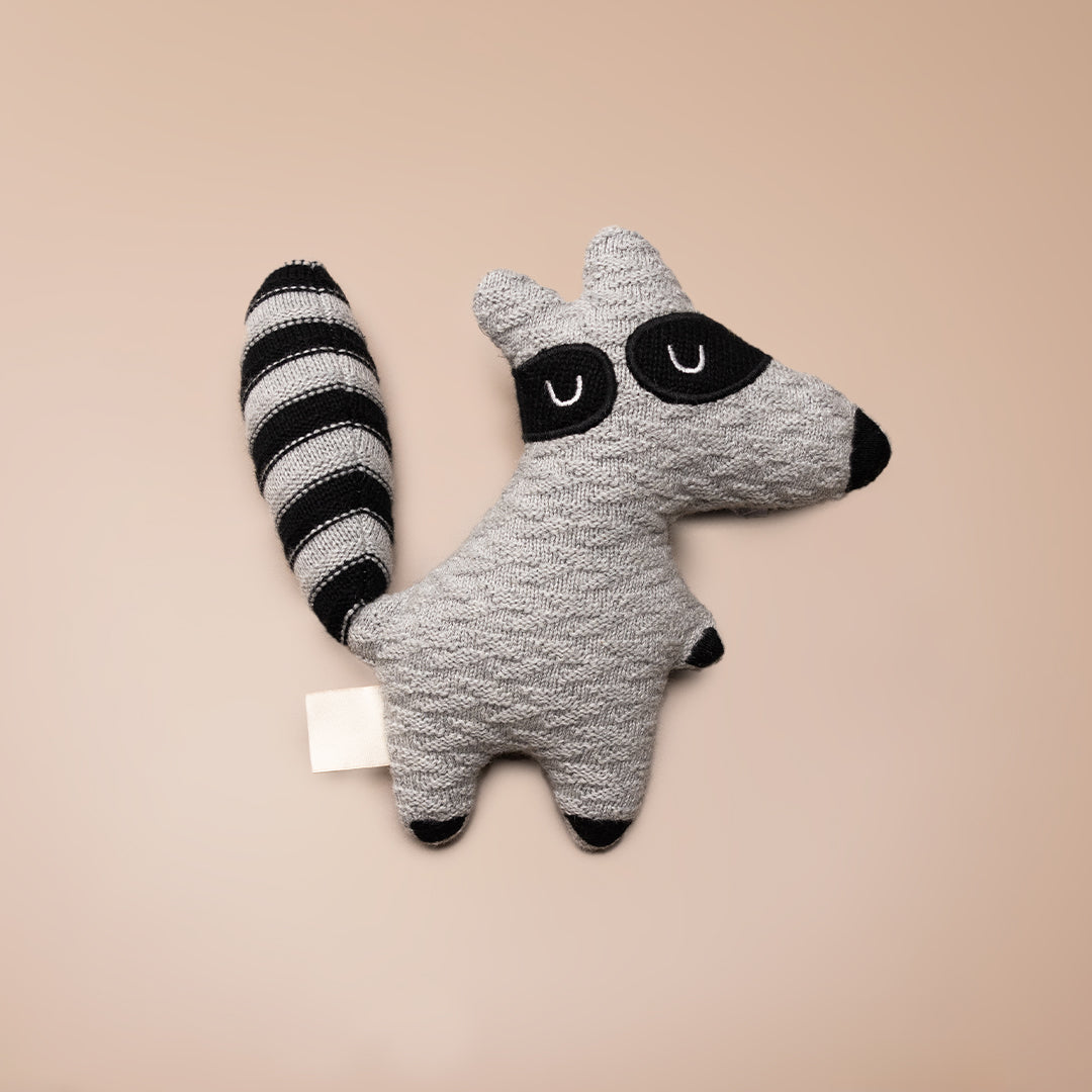 Roger the Raccoon