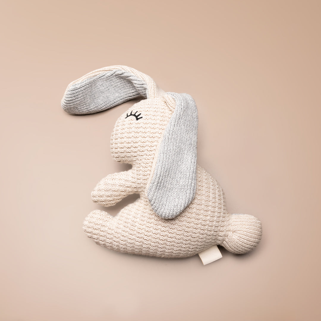 Bonnie the Bunny