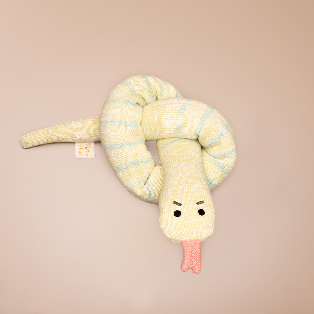 Steve the Snake