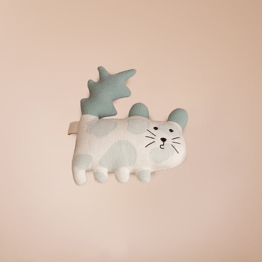 Cassy the Cat