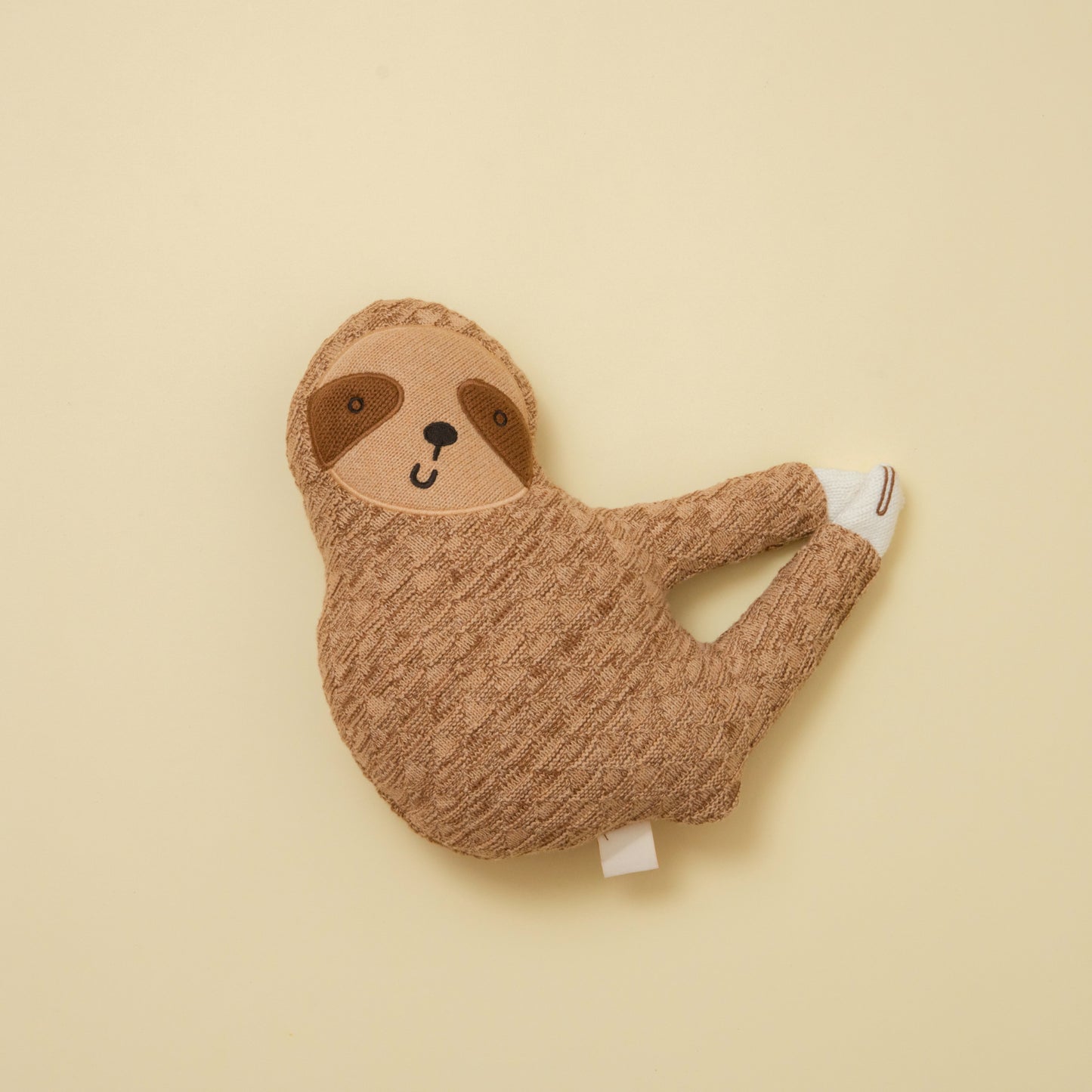 Shane the Sloth
