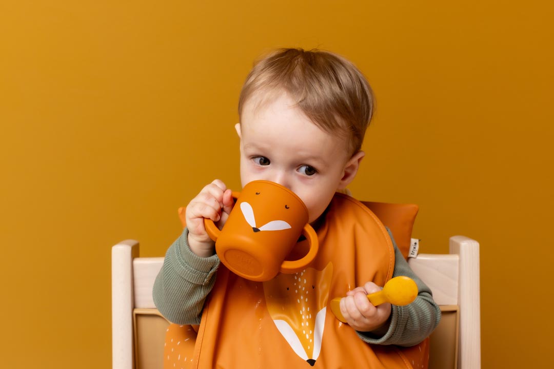 Trixie Silicone Sippy Cup - Mr. Fox