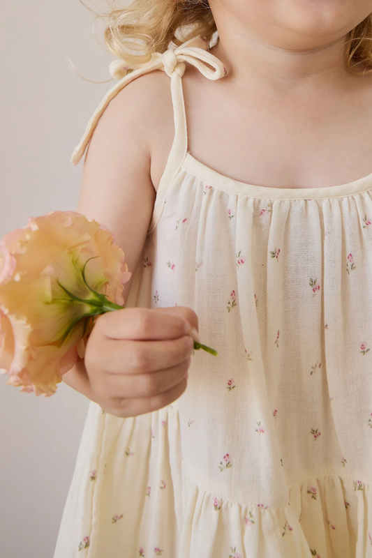 Jamie Kay Organic Cotton Muslin Winnie Dress - Willow Rose