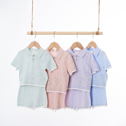 Long neck Dinosaur / Stegosaurus Polo Sets (18-24M / 2-3Y)