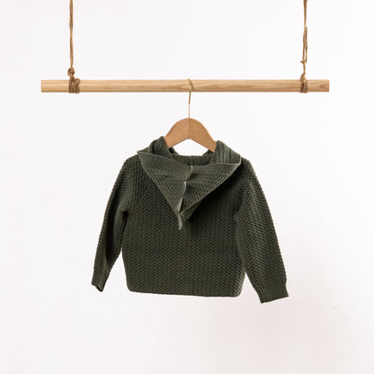 Hooded Cardigan | Dinosaur (18-24M / 2-3Y)