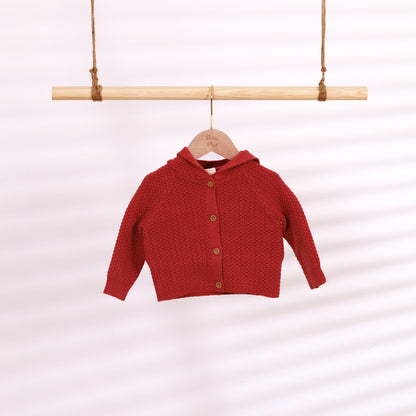 Hooded Cardigan | Dinosaur (6-12M)