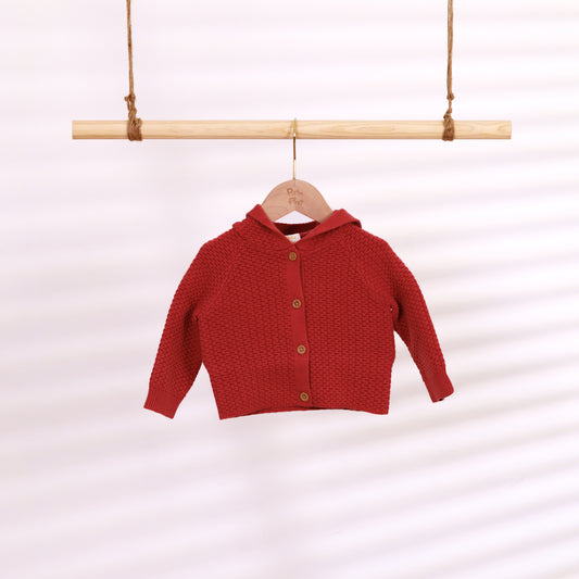 Hooded Cardigan | Dinosaur (6-12M)