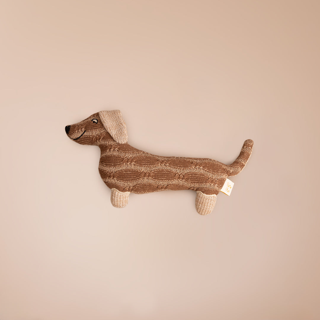 Dada the Dachshund