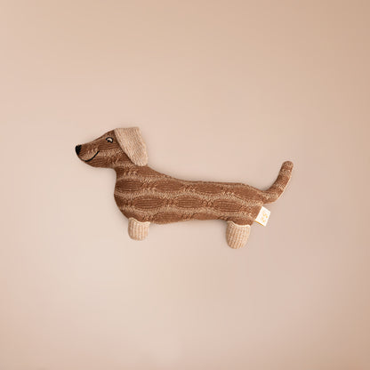Dada the Dachshund