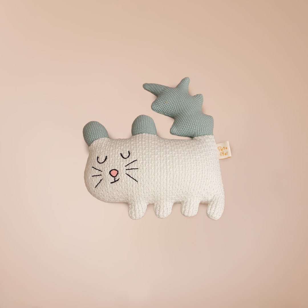 Cassy the Cat