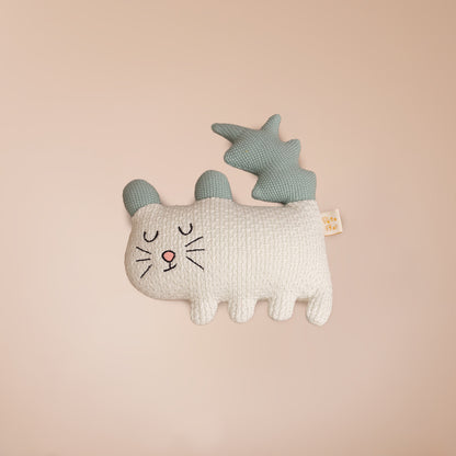 Cassy the Cat