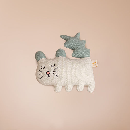 Cassy the Cat