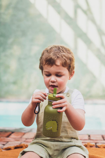 Trixie Bottle 350ml - Mr. Dino