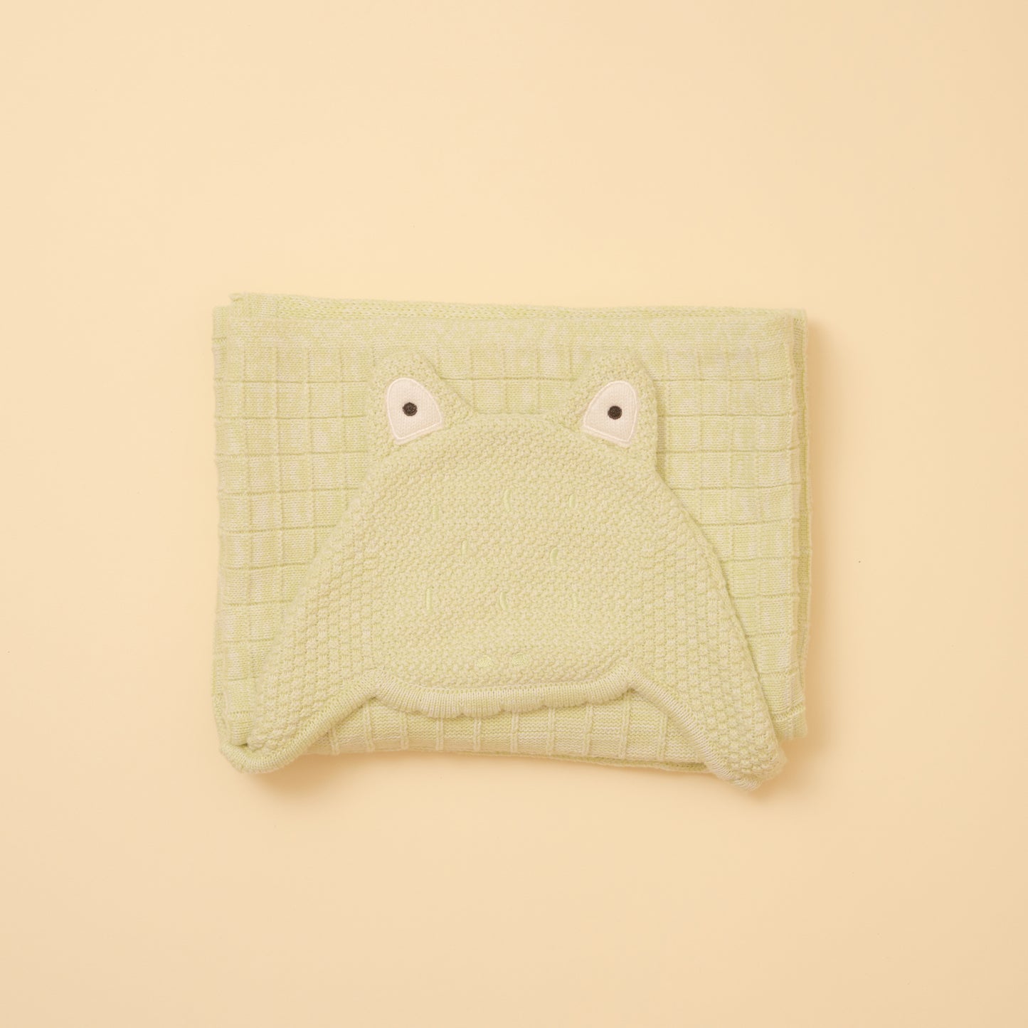 Little Alligator Baby Blanket